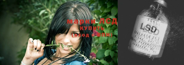 прущие крисы Гусев