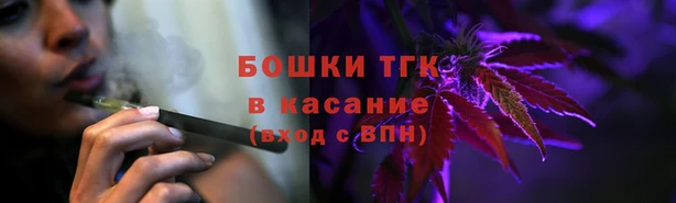 прущие крисы Гусев