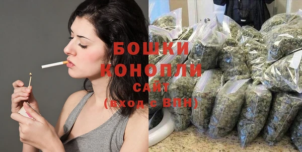 прущие крисы Гусев