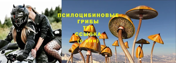 прущие крисы Гусев
