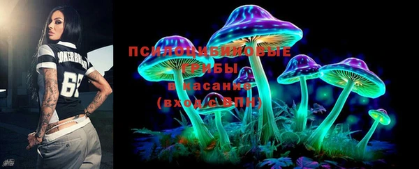 тгк Гусь-Хрустальный