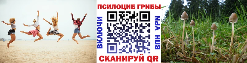 это как зайти  кракен   Королёв  Галлюциногенные грибы прущие грибы 