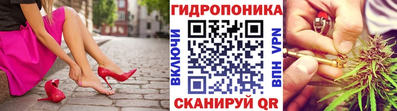 Канабис гибрид  Королёв 